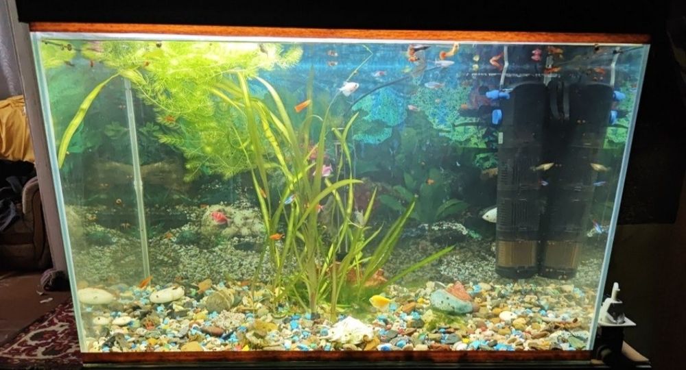 Аквариум с рыбками и оборудования