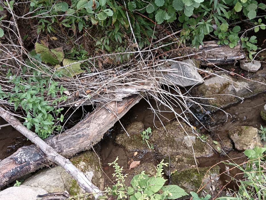 Teren Muntii Cernei,Cornereva,Dobraia