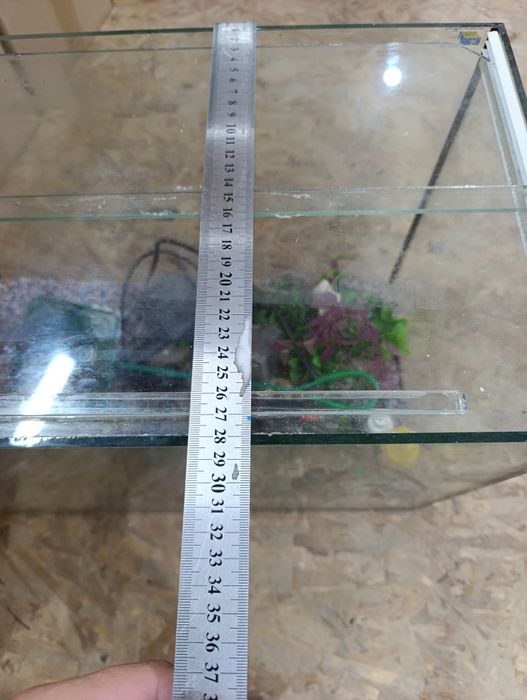 Акваруим за рибки