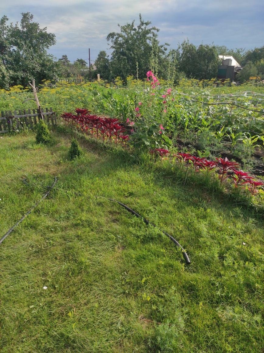 Продам дачу Сады 1  КВ 12