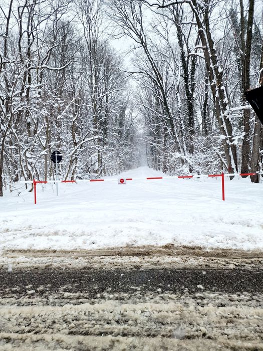 Teren 12.000mp Aleea Teisani - Padurea Baneasa