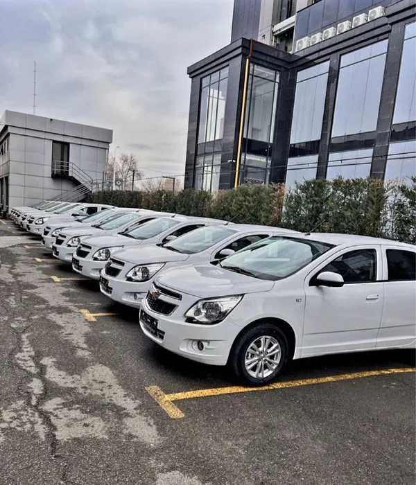 Cobalt peniya va ribolarsiz