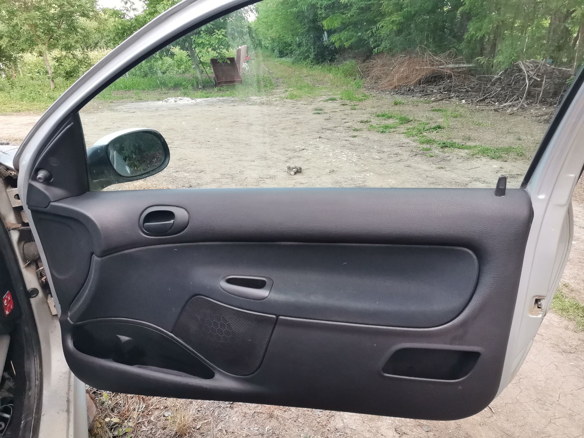 Uși stanga dreapta Peugeot 206 an2003 coupe + alternator, electromotor