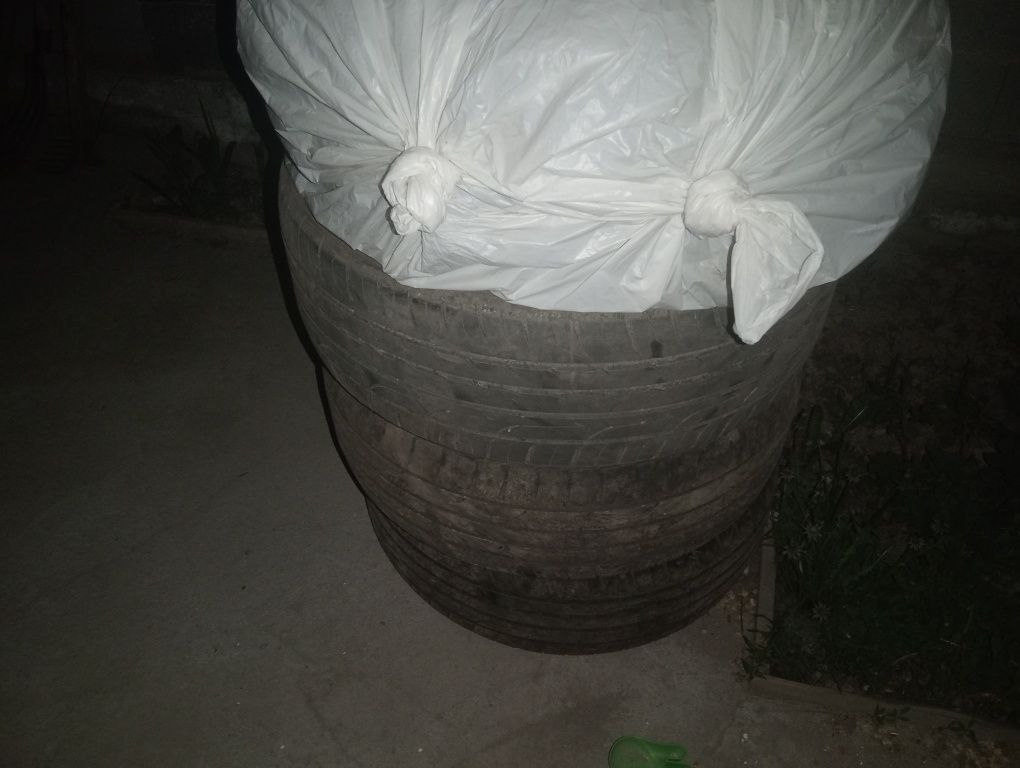 Шиныр 17 , шиныр17