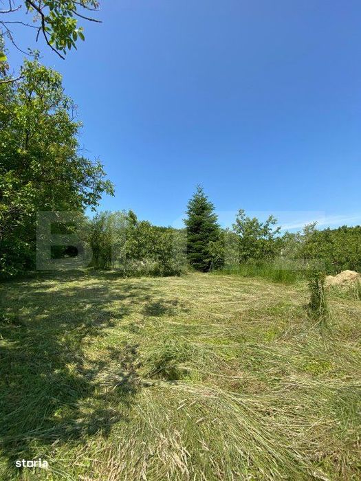 Teren intravilan de vanzare – 30 ari – Zona Podul Jelnei – prive