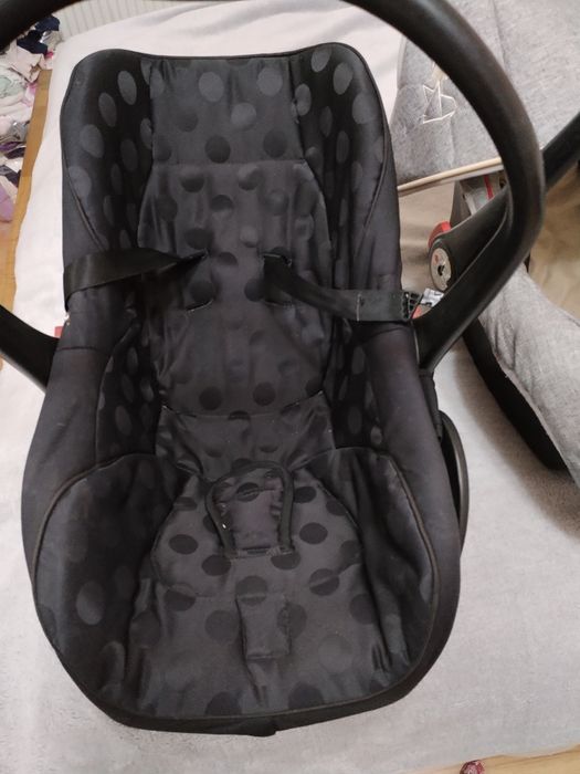 Ham chicco si doua scoici