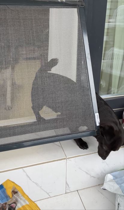 Plase Tantari - Confectionare, Montaj & Reparații | Toate tipurile |