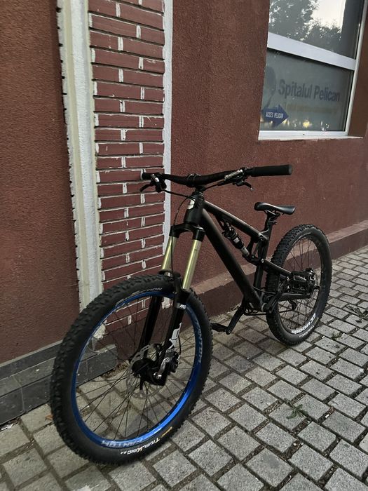 Rose uncle jimbo unic in romania