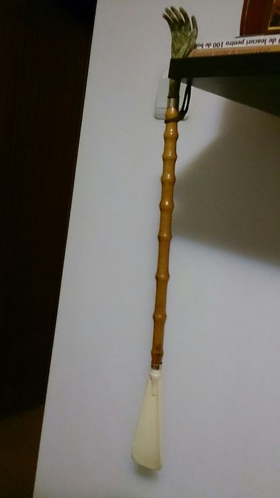 Incaltator pantofi si flori apartament