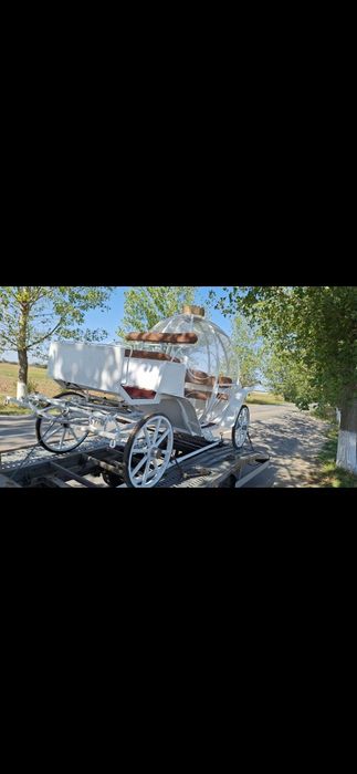 Trasura glob!trasura