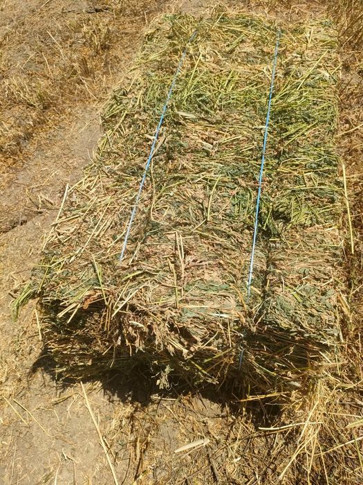 De vânzare baloți de fân, lucernă ! Se asigura transport!