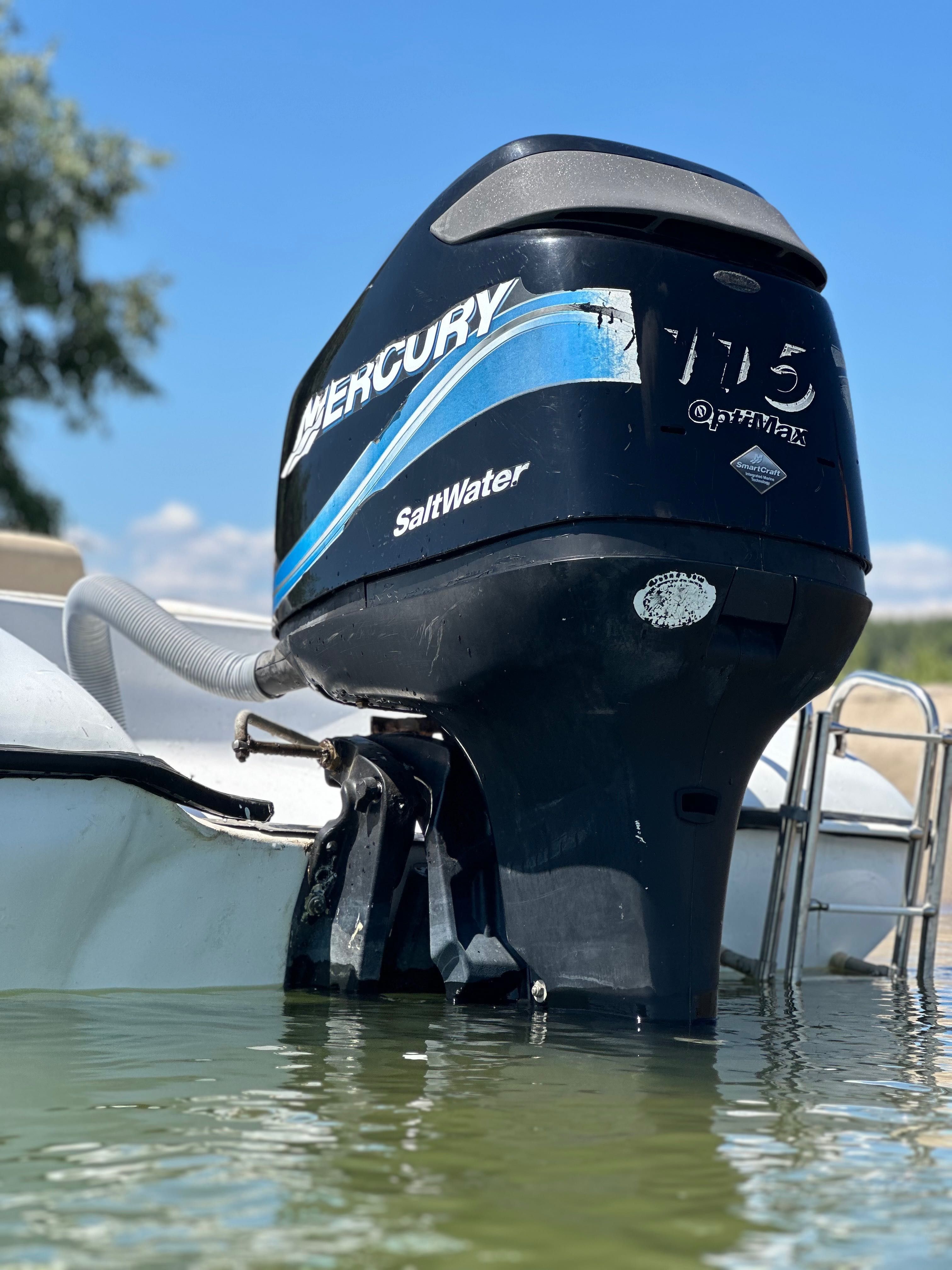 Mercury 115 optimax