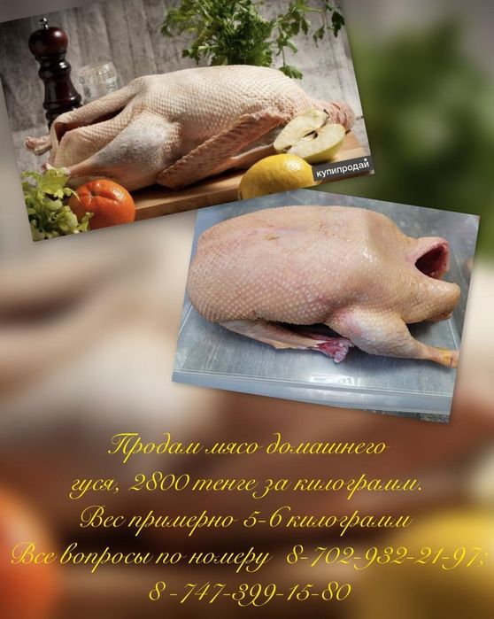 Продам гусей домашние