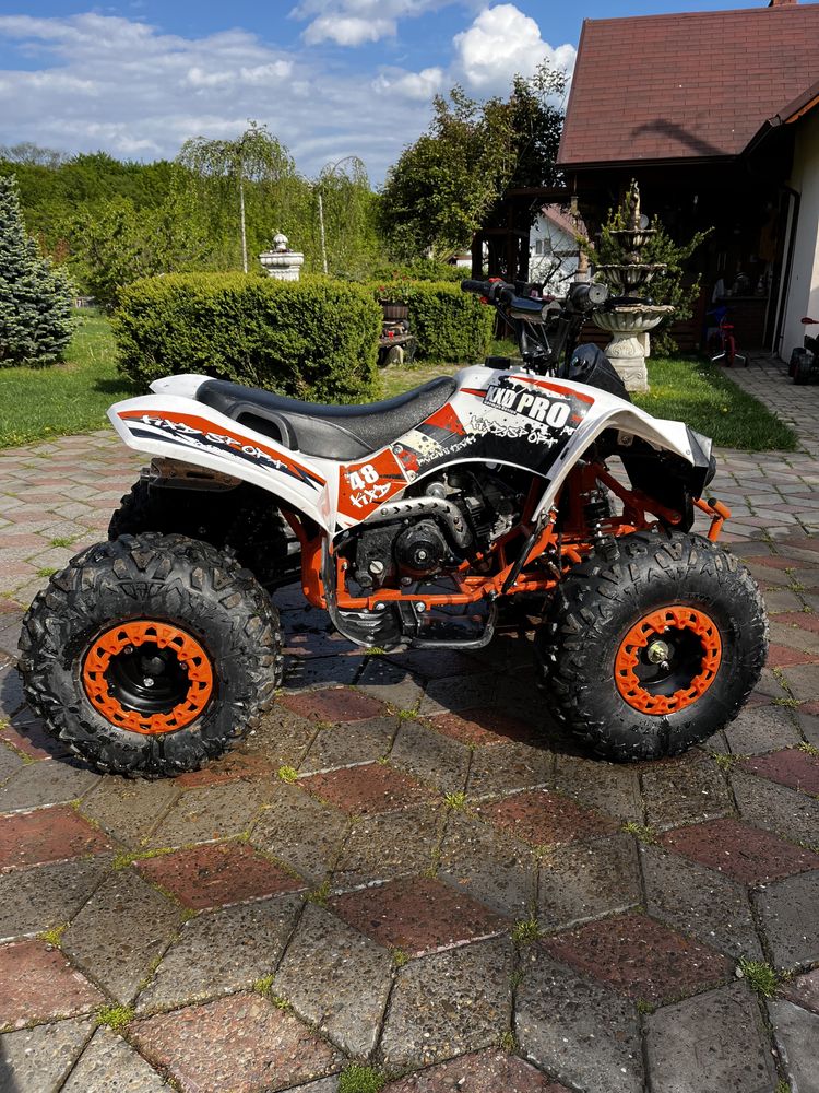 Atv KXD Pro 125cc Varfu Campului Botosani