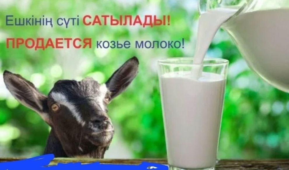 Продам козье молоко