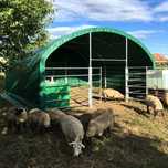 Cort pentru animale,adapost,grajd mobil 6m x 6m