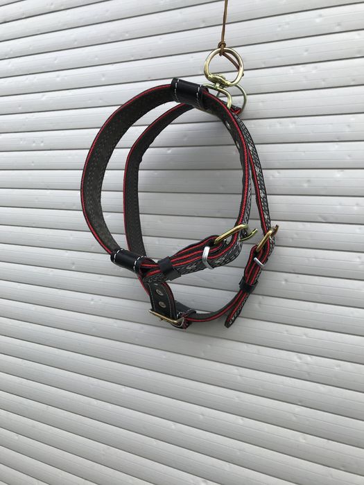 Vand Ham pentru caine