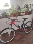 Vand bicicleta mountain bike fullsuspension focus super bud