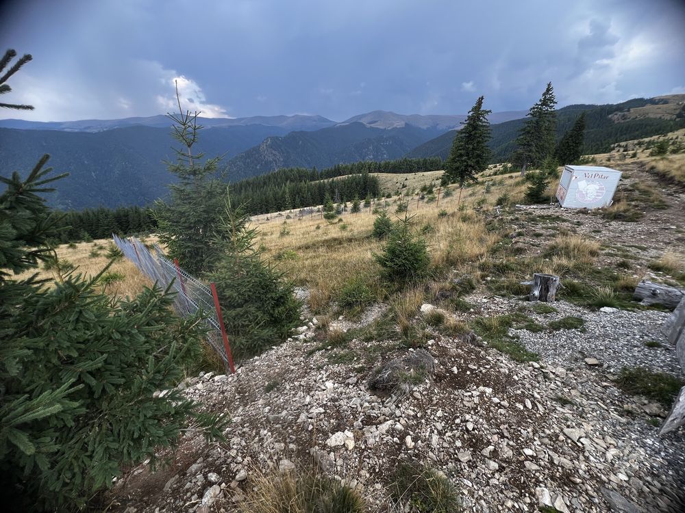 Teren 1000 mp la Varful Roman langa Manastire