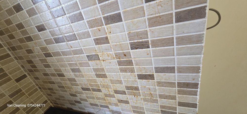 Servicii  de curățenie la domiciliu ,case,, apartamente,curatare salte