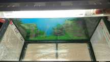 Acvariu 60x30cm, cu capac si neon dublu, programabil