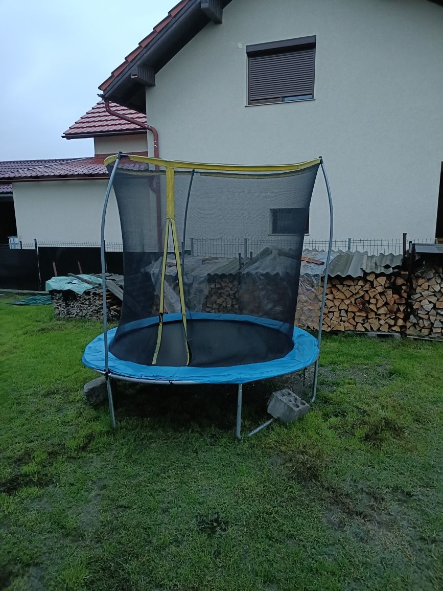 Trambulina 2m vand