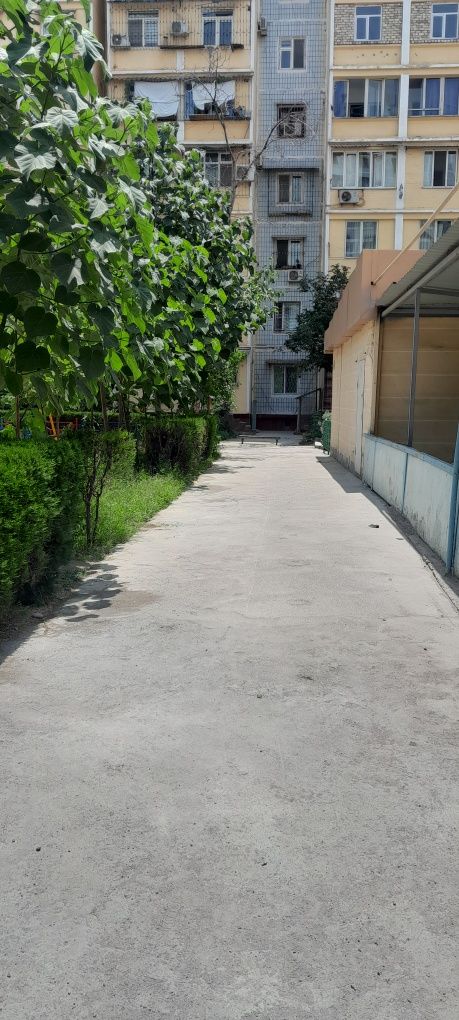 Аренда  помещения  2 ком.40м2 на Сергели-8а