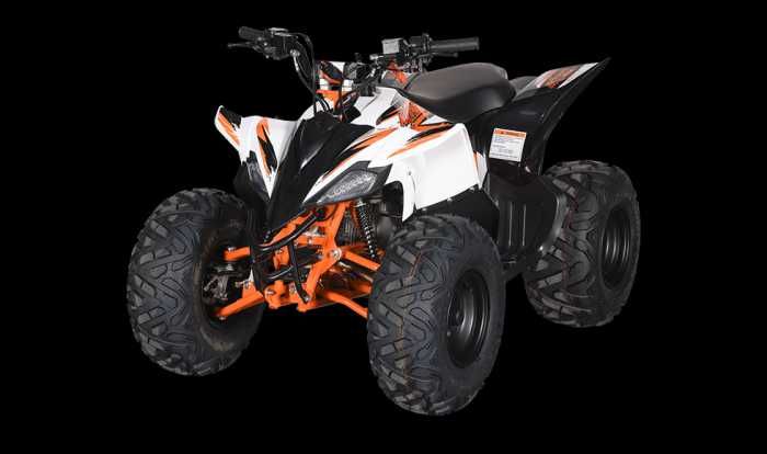 KAYO ATV modelul AT125
