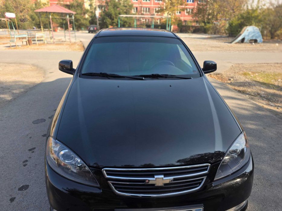 Жентра кора, холати тинник