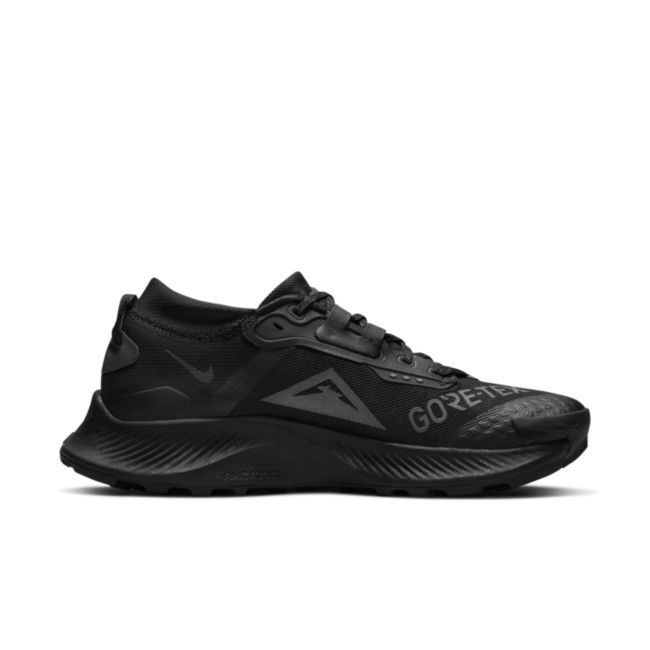 Nike Pegasus Trail 3 Gore-Tex