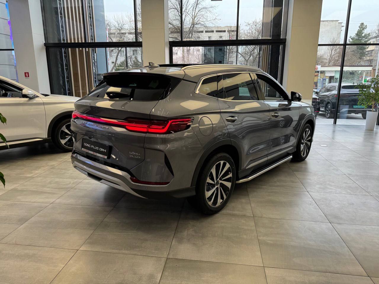 Byd chempion gibrid 2024