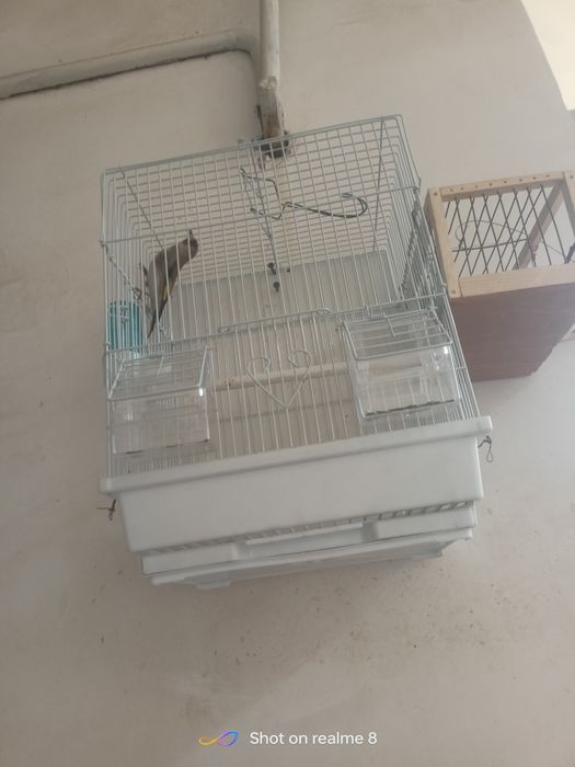 Sava sotiladi.  srochna. sava 2 ta