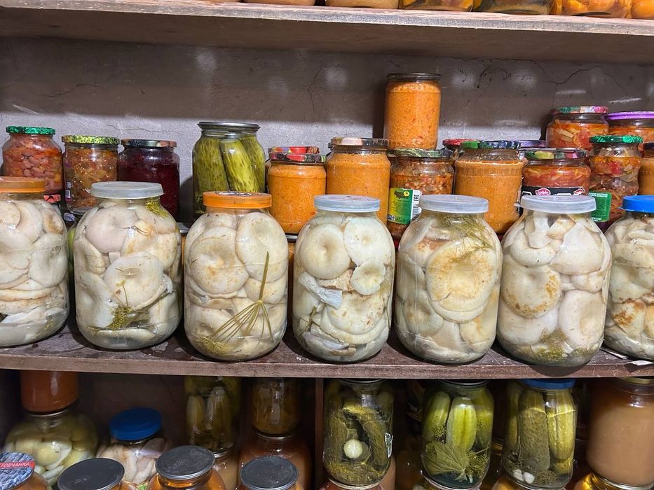 Продам грибы грузди