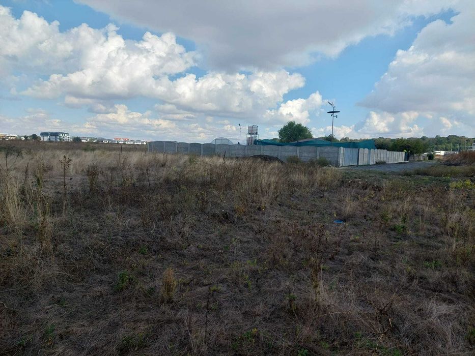 Teren Otopeni, langa "Philip Morris"