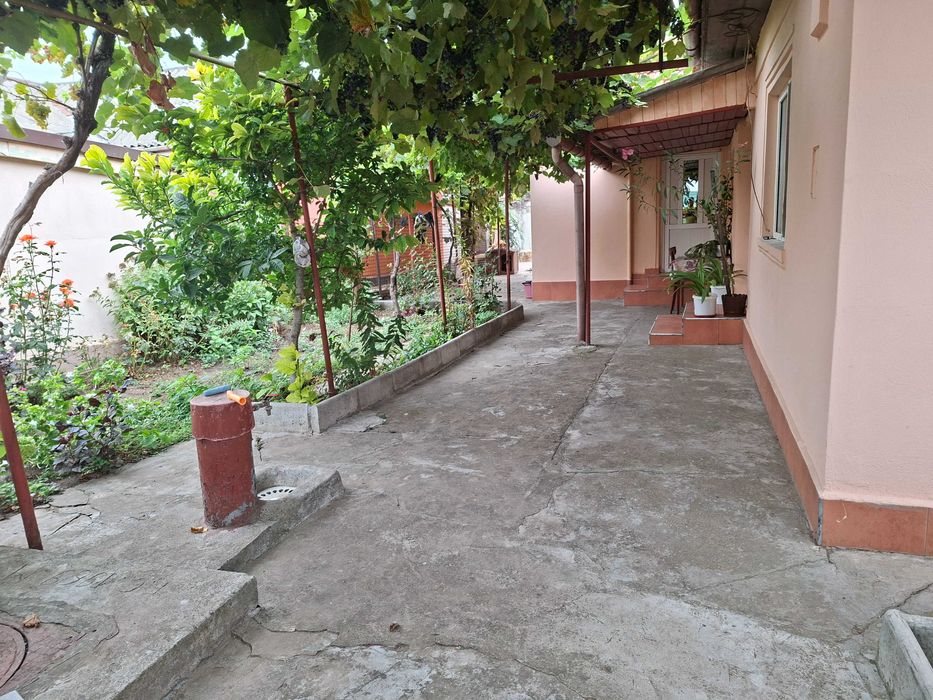 Casa 3 camere -Viile Noi-Proprietar