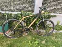Bicicleta bergamont