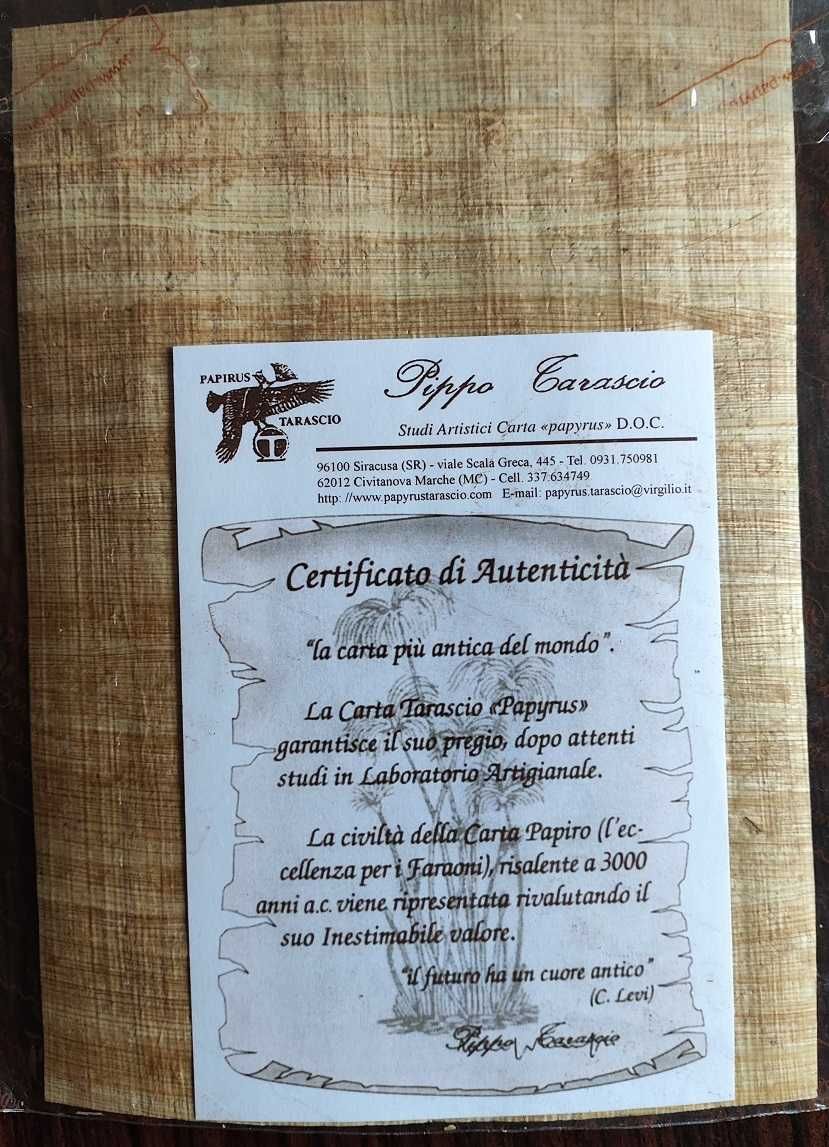 Оригинален папирус от Сиракуза (Сицилия) - Архимед, 18 х 13 см