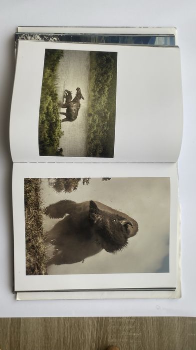 Carte WILD LAND cu natura spectaculoasa