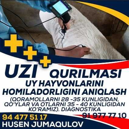 hayvonlarni xomladorligini tekshirish