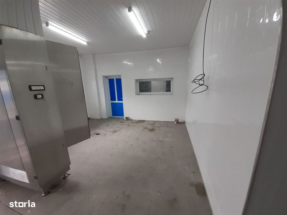 Hala - flux DSV - domeniu alimentar - productie sau catering