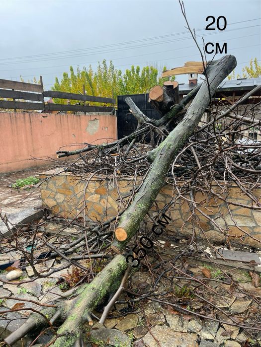 Дървен материал от ОРЕХ