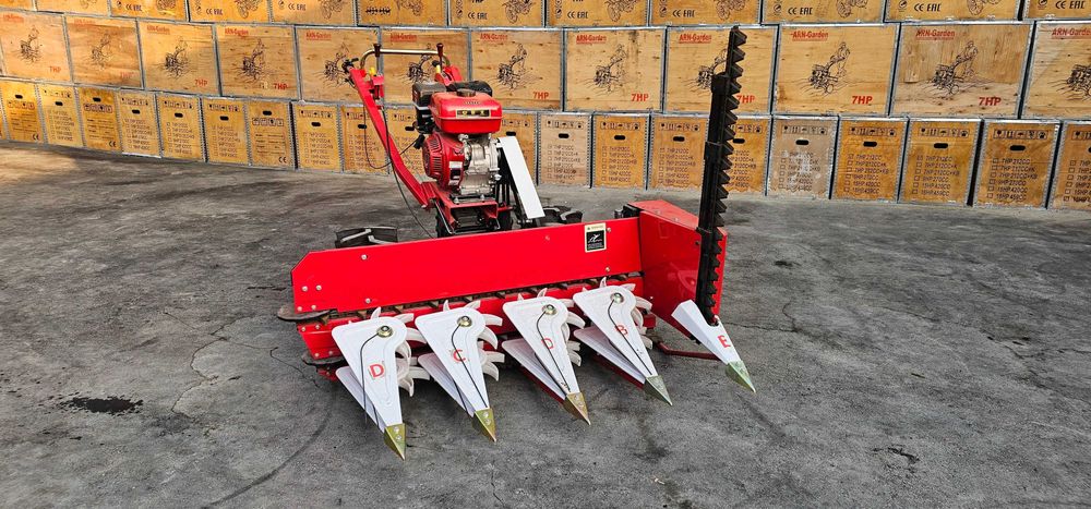 Sholi o'radigan jadka