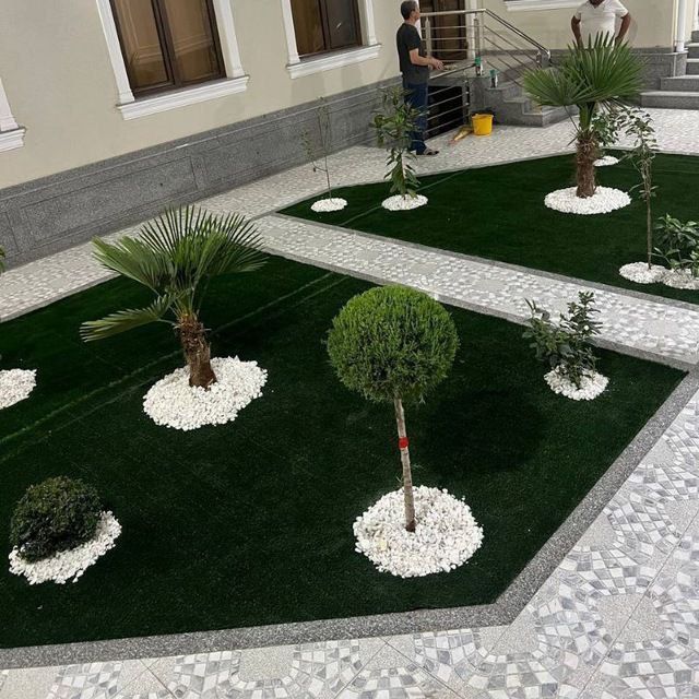 Landshaft oʻsimliklari