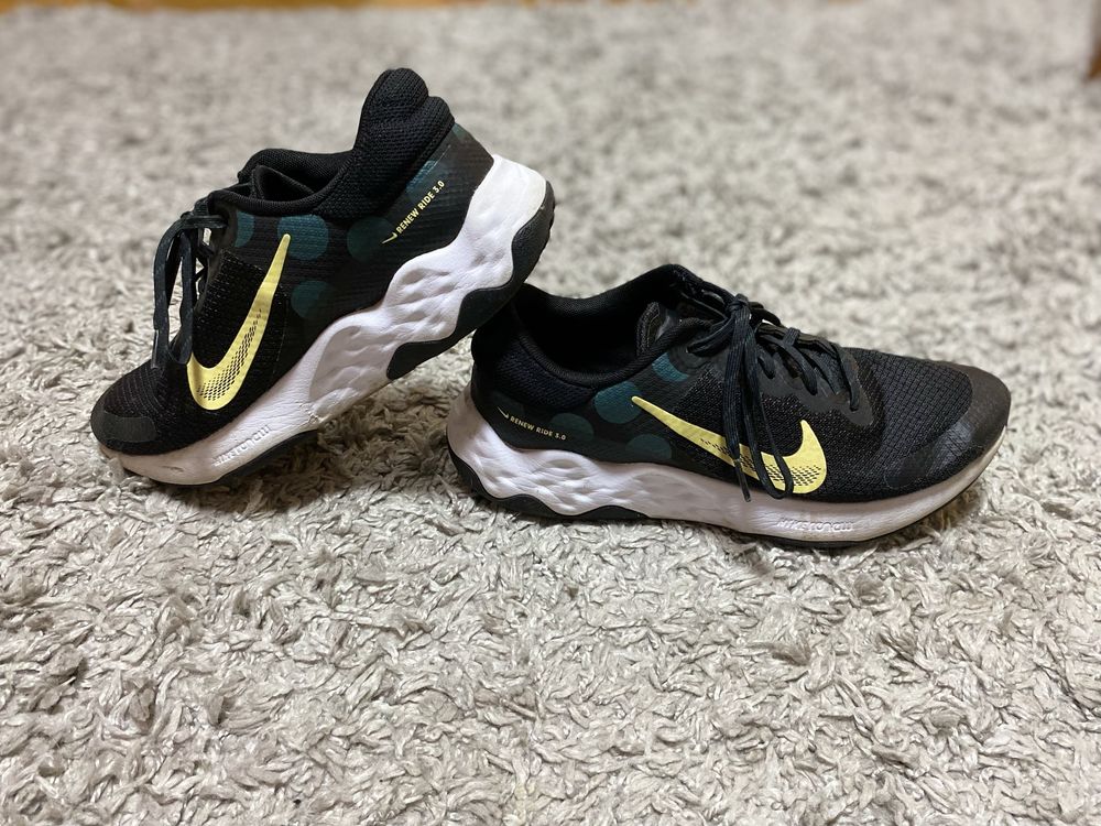 Nike Renew Ride 3.0