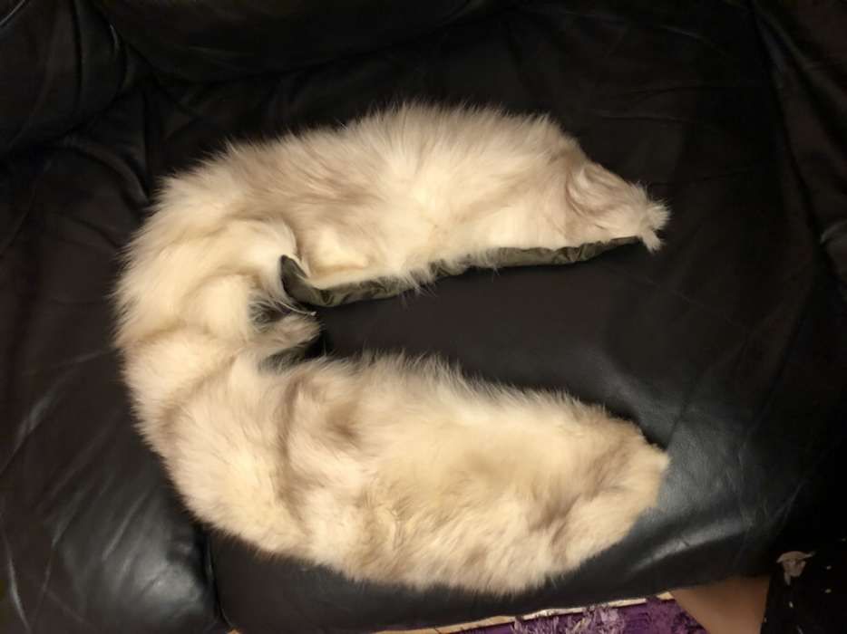 Guler vulpe polară nou