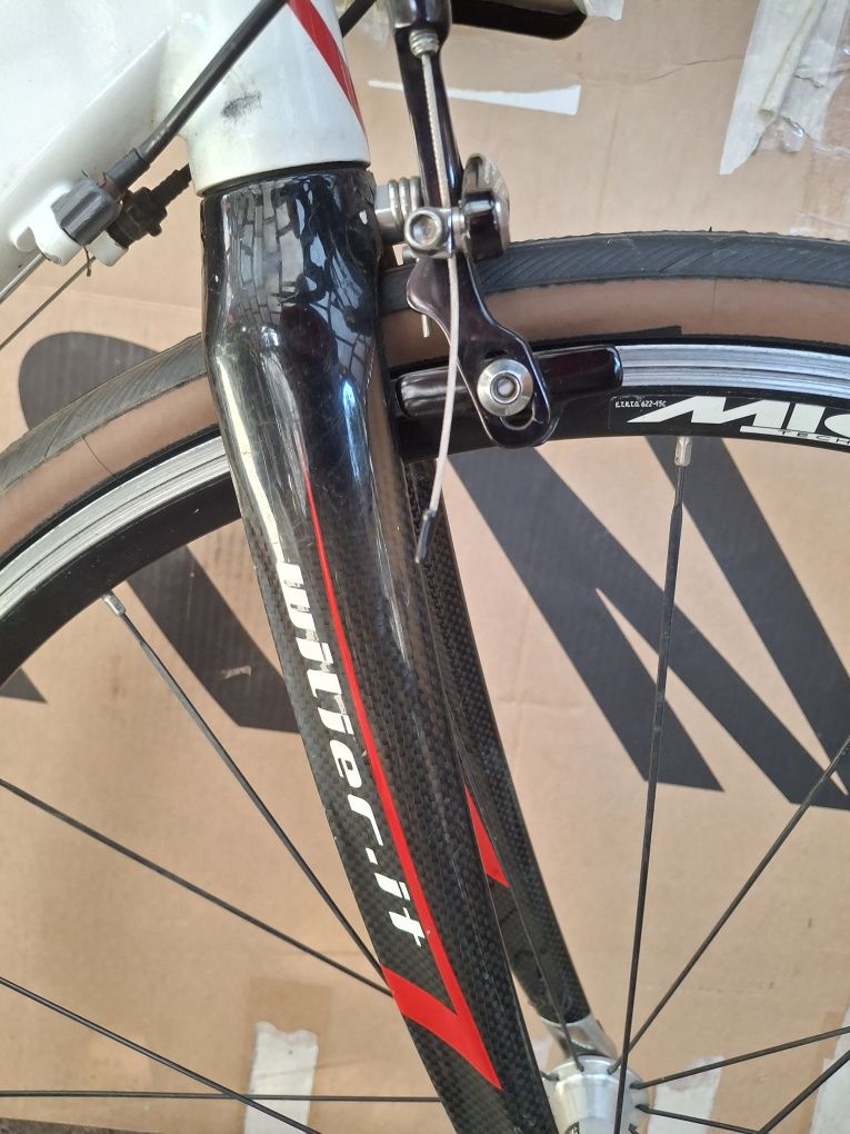 Cursiera wilier triestina