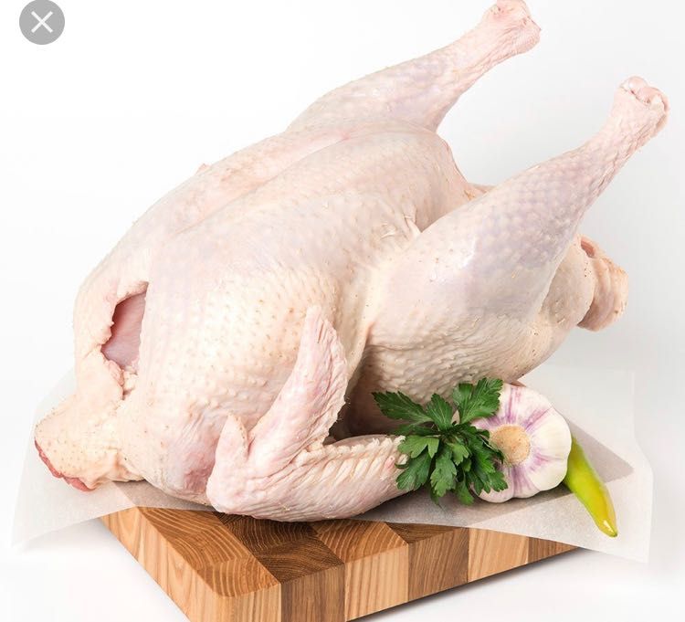 Курка гошти ,котта абёмдахам бор!