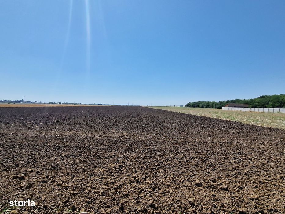 Teren intravilan vanzare Fundulea, Calarasi