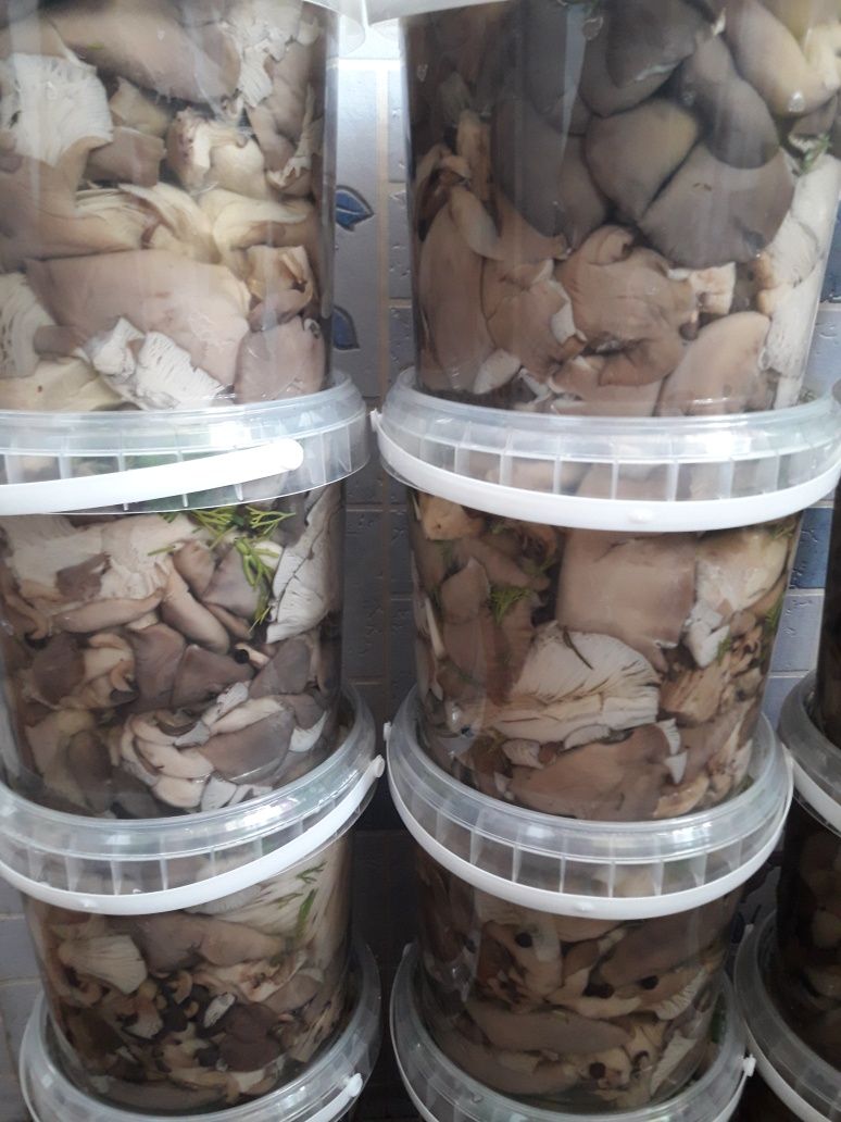 Продам грибы к-т Боровое , этог года соленые , сухие в ассортименте