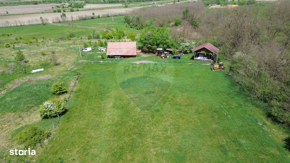 Domeniu - 66 Hectare - Teren deosebit Copsa Mica cu deschidere la DN14